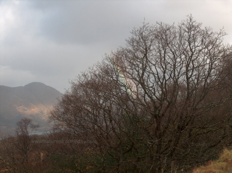 Rainbow in Ireland