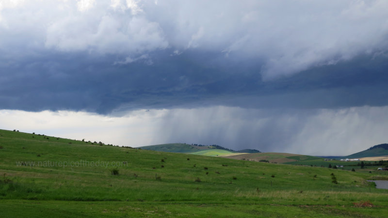 Rainstorm on the Palouse