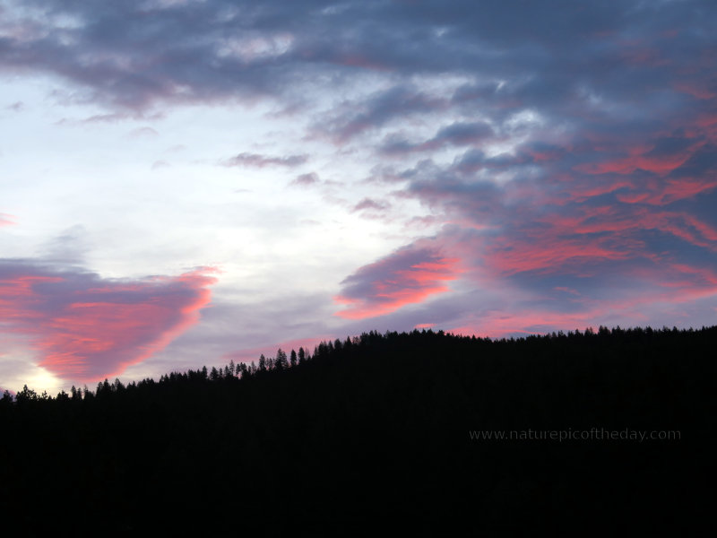 Pink clouds in the morning.