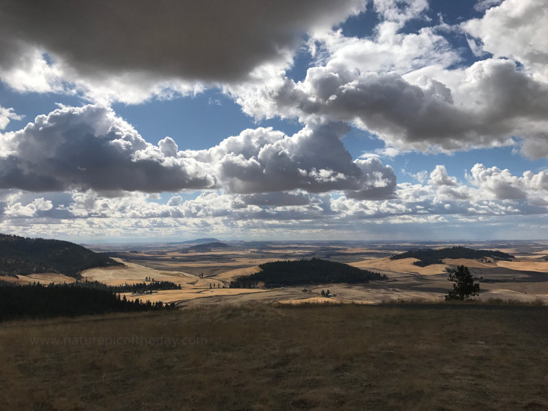 Clouds in Washington