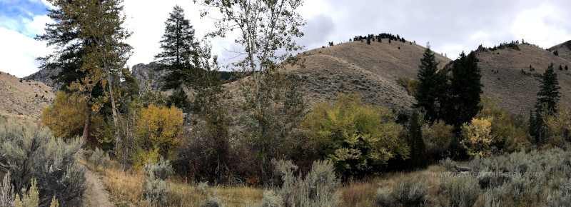 Fall foliage in Idaho