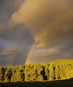 Double Rainbow in Idaho