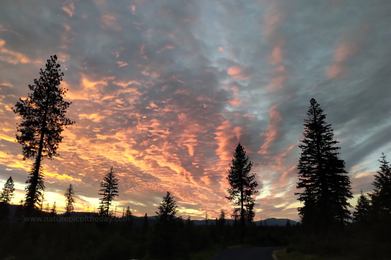 Sunset in Idaho