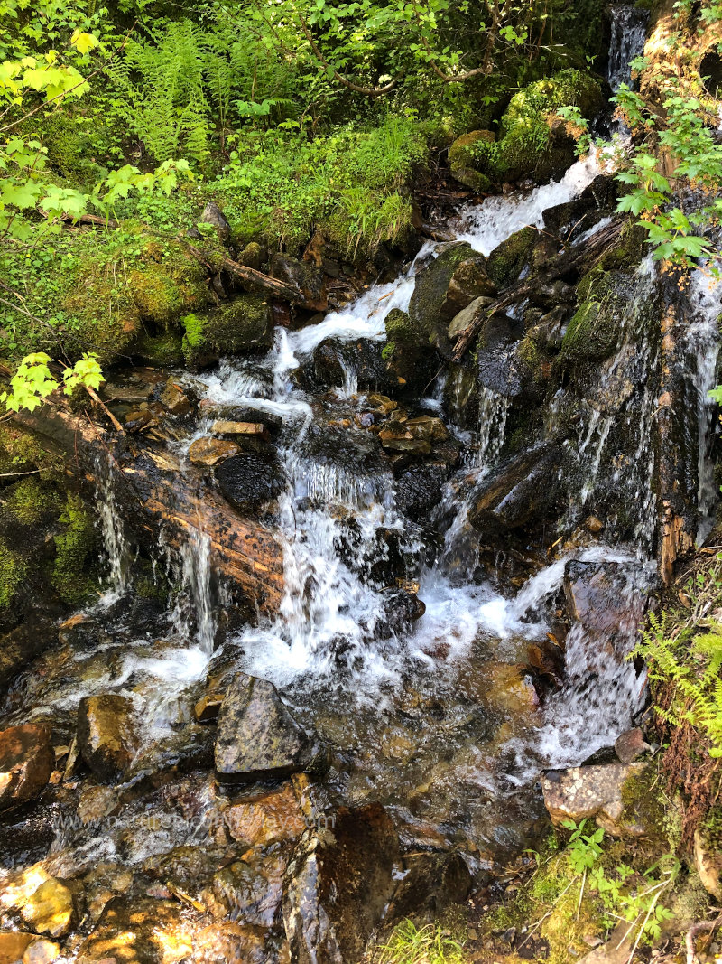 Brook in the Rocky Mountains of Montana