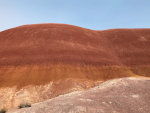 Red Dunes in Oregon