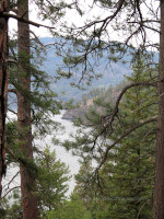 Ponderosa Pines and Lake Pend Orielle