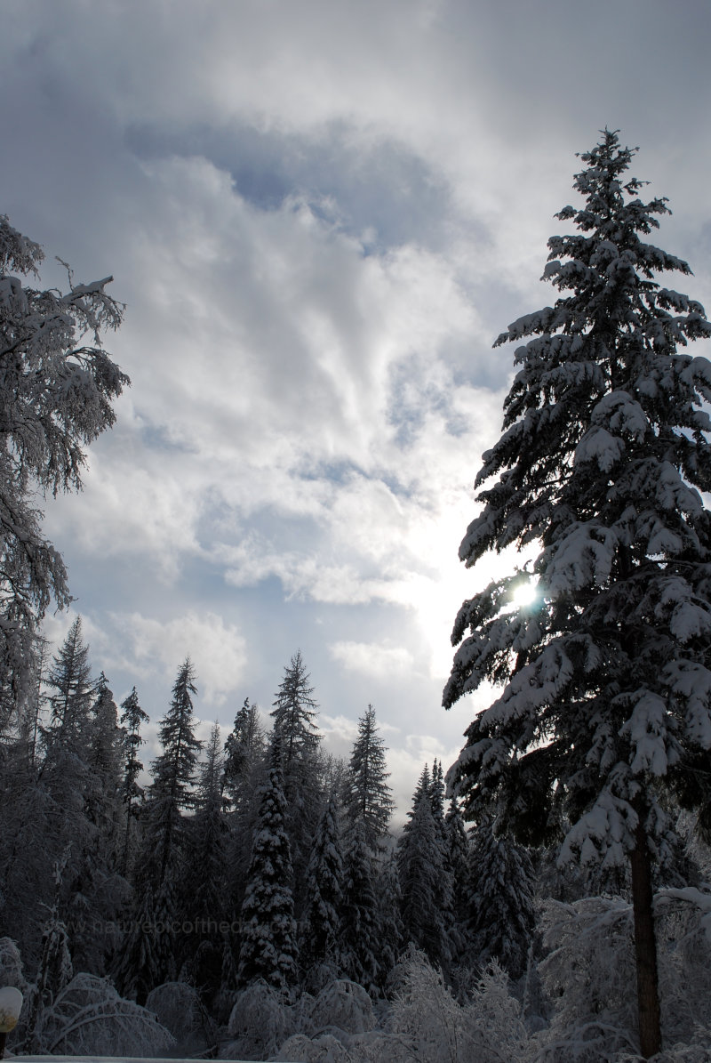 Winter is around the corner in Montana