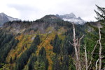Fall in Mount Rainier National Park