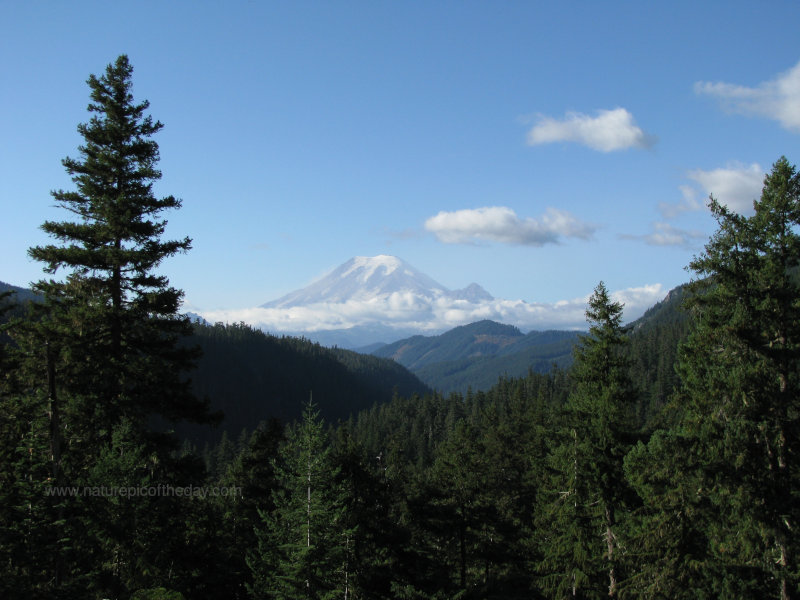 Mount Rainier in Washington State