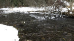 Winter Creek in Idaho