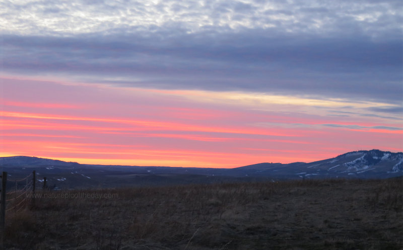 Pretty sunset colors on the Palouse
