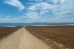 Desert road in Northern California