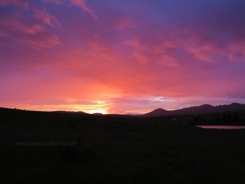 Pink sunset