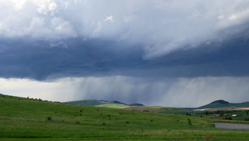 Rain shower on the Palouse