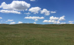 Eastern Montana Ranch