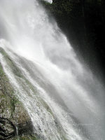 Brinnon Falls, Washington State