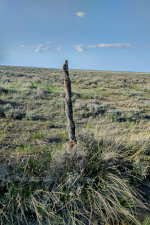 Fencing the Prairie in eastern Montana