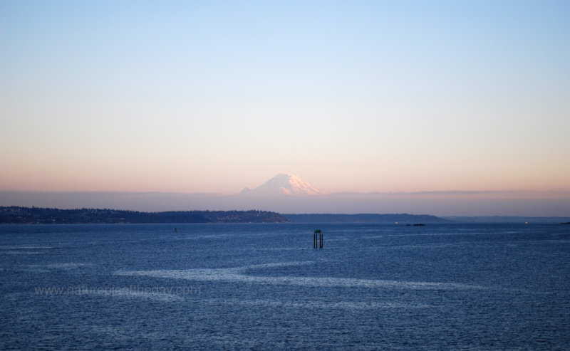 Ferry Crossing Puget Sound with Mount Rainier in the background