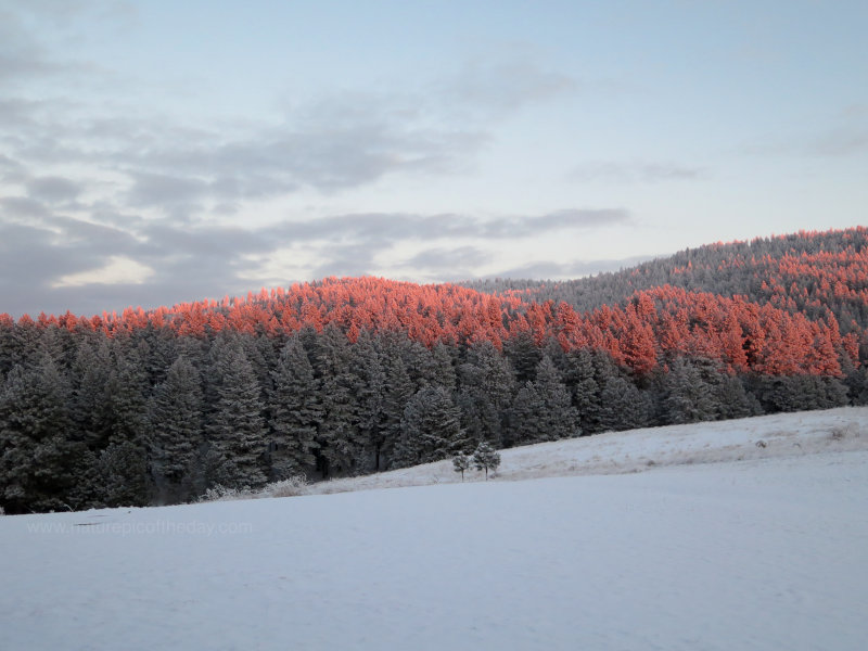 Winter Sunset in Idaho