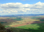 Spring on the Palouse 