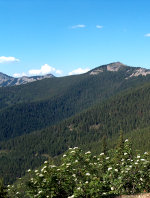 Montana Rocky Mountains