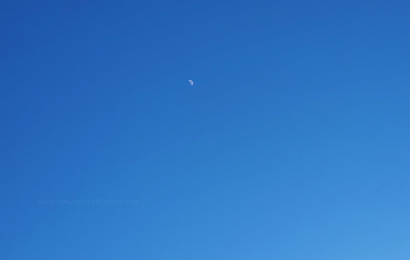 Bright blue sky, small white moon