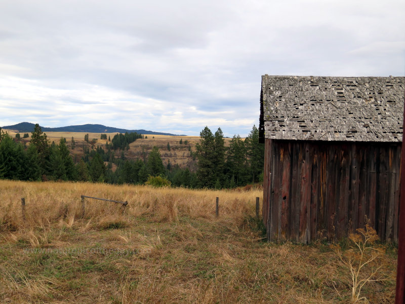 Brown fields