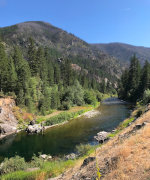 Not that river, but the Thompson River runs into the Clark Fork, same as the Blackfoot.