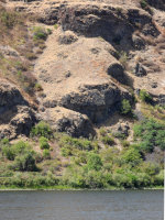 Bear face in the rocks above the Snake River