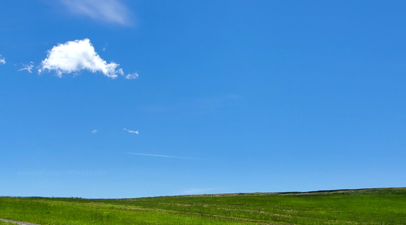 Green Grass, Blue Sky, White Clouds