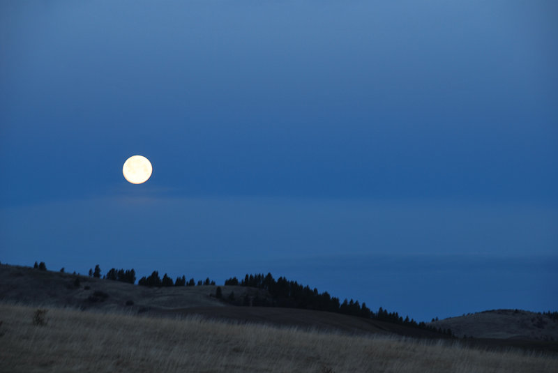 Full Moon in the morning