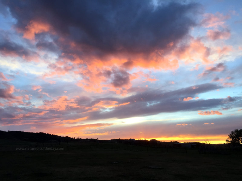 Montana Sunset