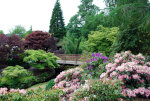 Beautiful Brinnon Gardens