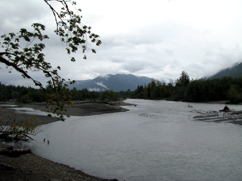 Hoh River in Washington State