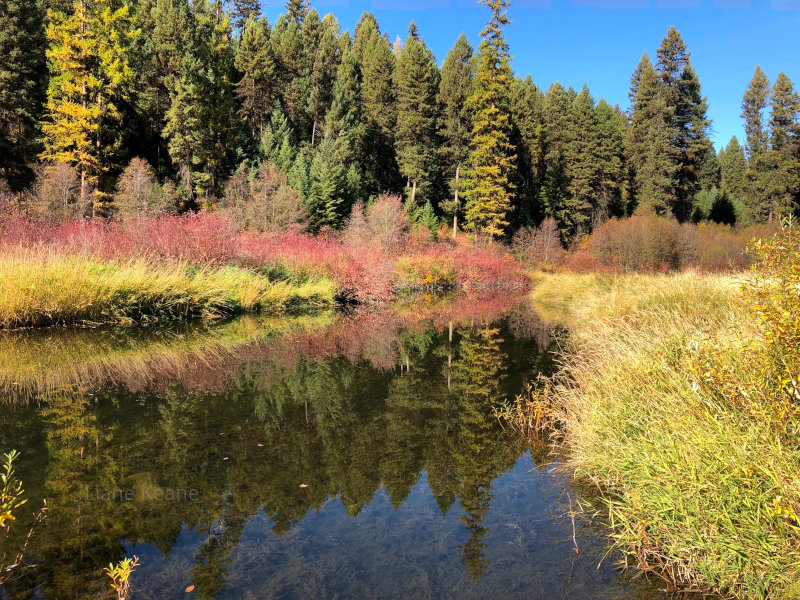 Autumn On the Thompson