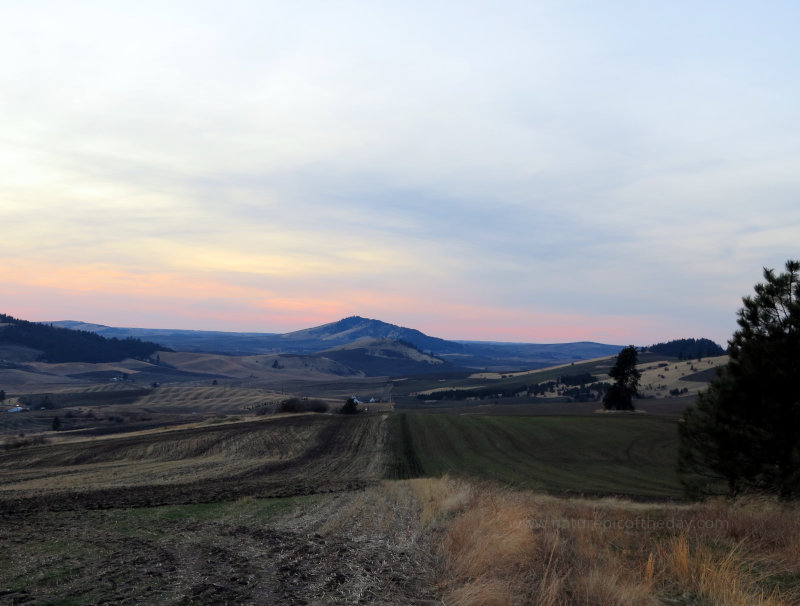 Butte in Washington