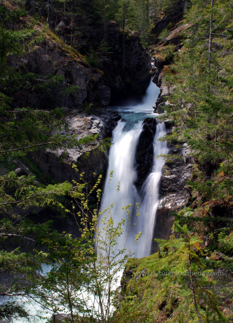 Mountain Springs and Falls