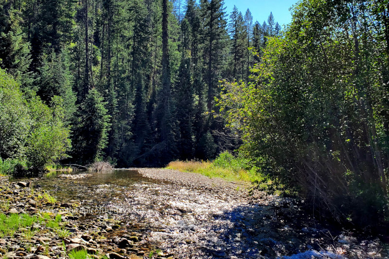 Beaver Creek in Montana