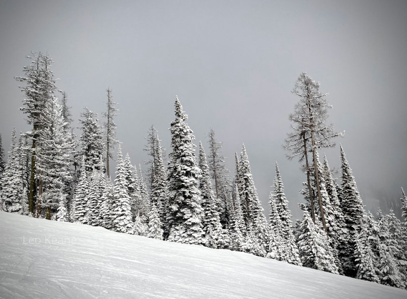 Winter skiing at Big Mountain