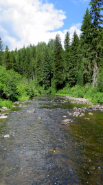 Potlatch river