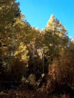 Sierra Nevada mountains in the Fall