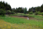 Spring in Montana