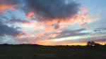 Prairie Dog homes in Montana at Sunset