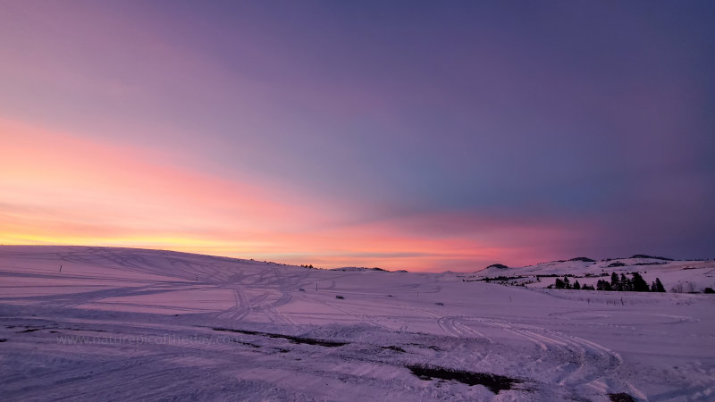 Sunset in the winter