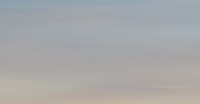Winter sky