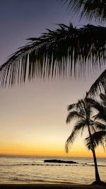 Beach in Hawaii