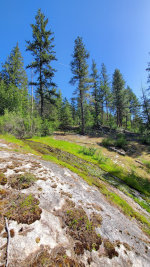 Mossy waterslide in Idaho