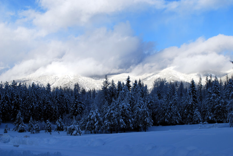 Sun On the Mountains