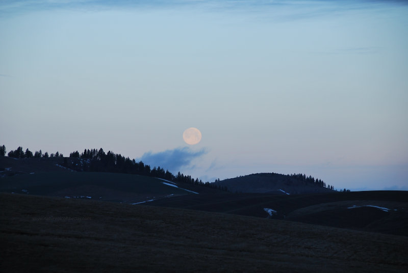 A full moon just moments from setting.