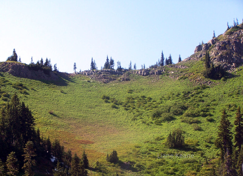 White Pass in Washington